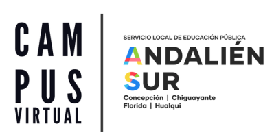 Capacitaciones Andalién Sur